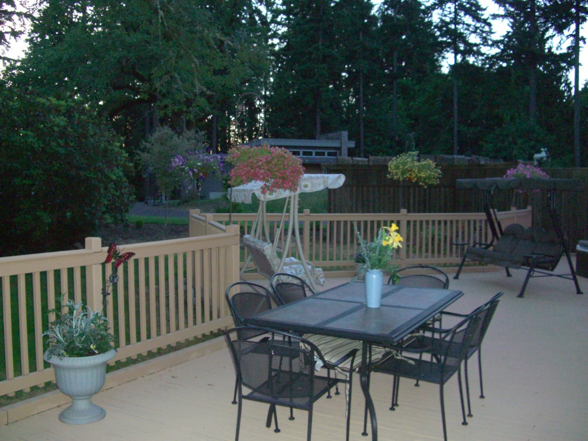 A peaceful backyard patio with a table, chairs, and various plants.
