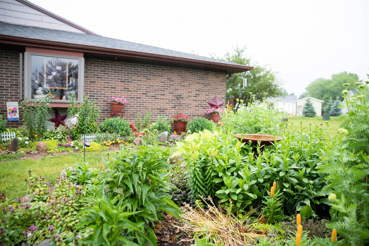 A lush garden filled with various plants and flowers beside a brick house.