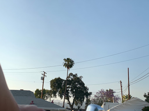 A peaceful view of the sky with a palm tree and utility lines.