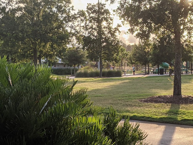 A serene park with lush green grass and trees under the soft sunlight.