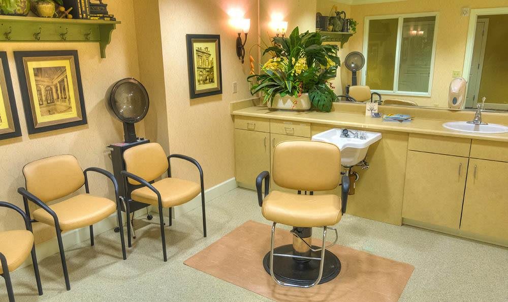 A cozy hair salon interior with chairs, a sink, and decorative plants.