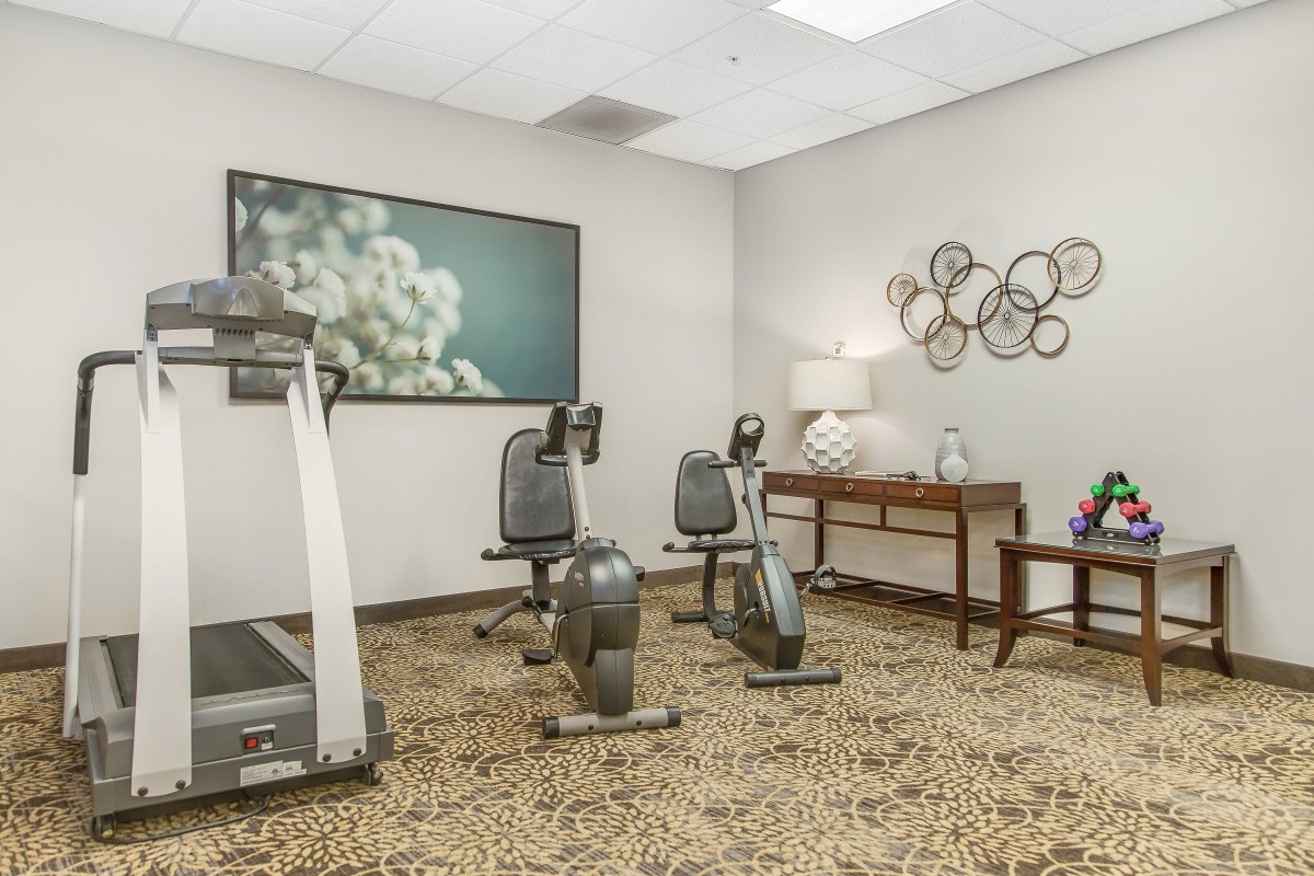 A small gym room with a treadmill, two stationary bikes, and decorative elements.