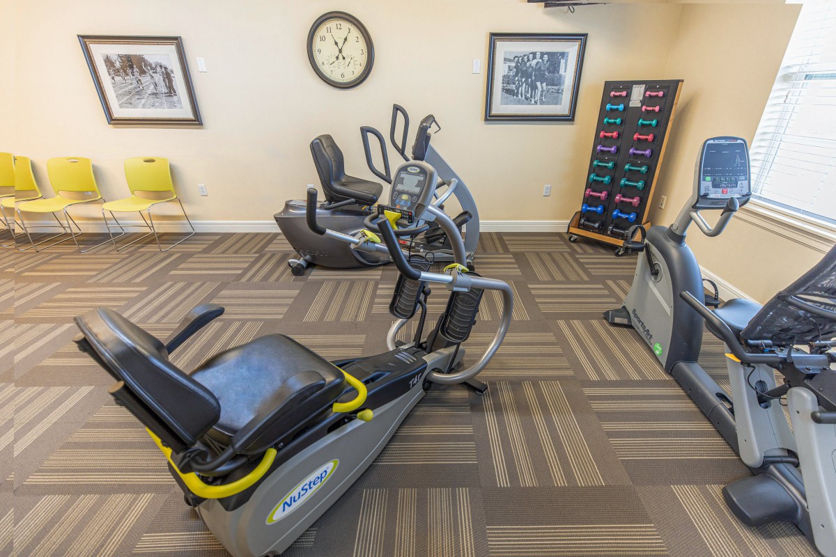 A small gym with recumbent exercise bikes and a rack of weights.