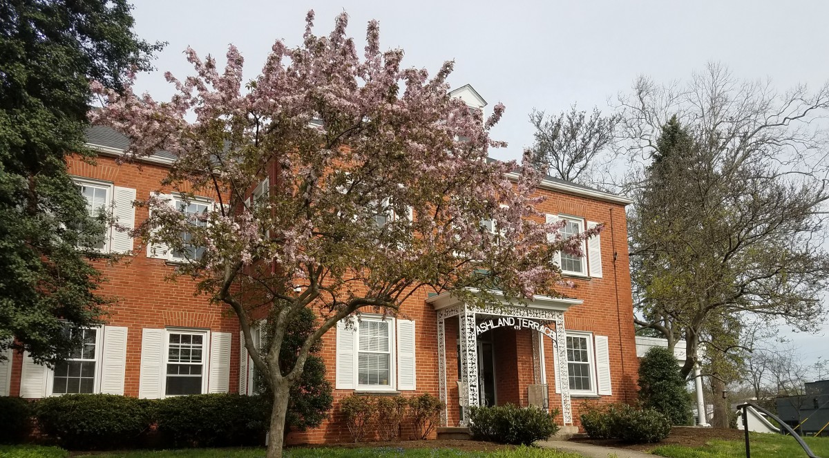 Ashland Terrace