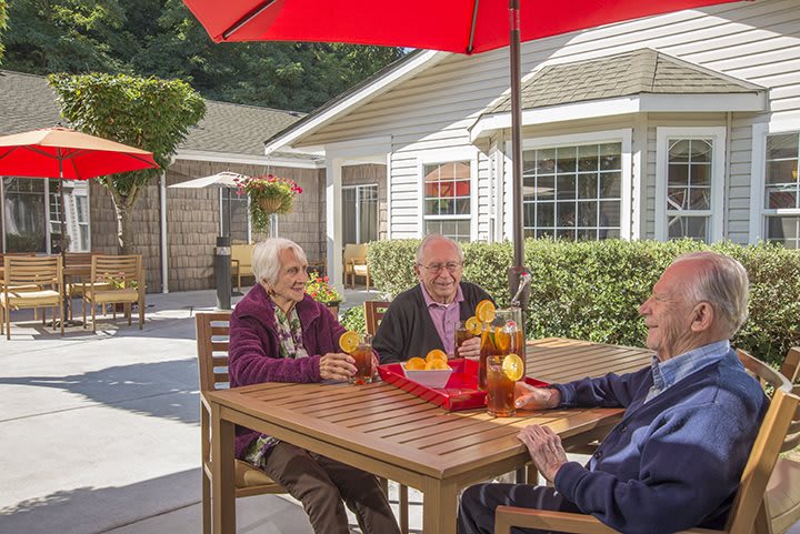 Elderly friends enjoying a sunny day outside on the patio.