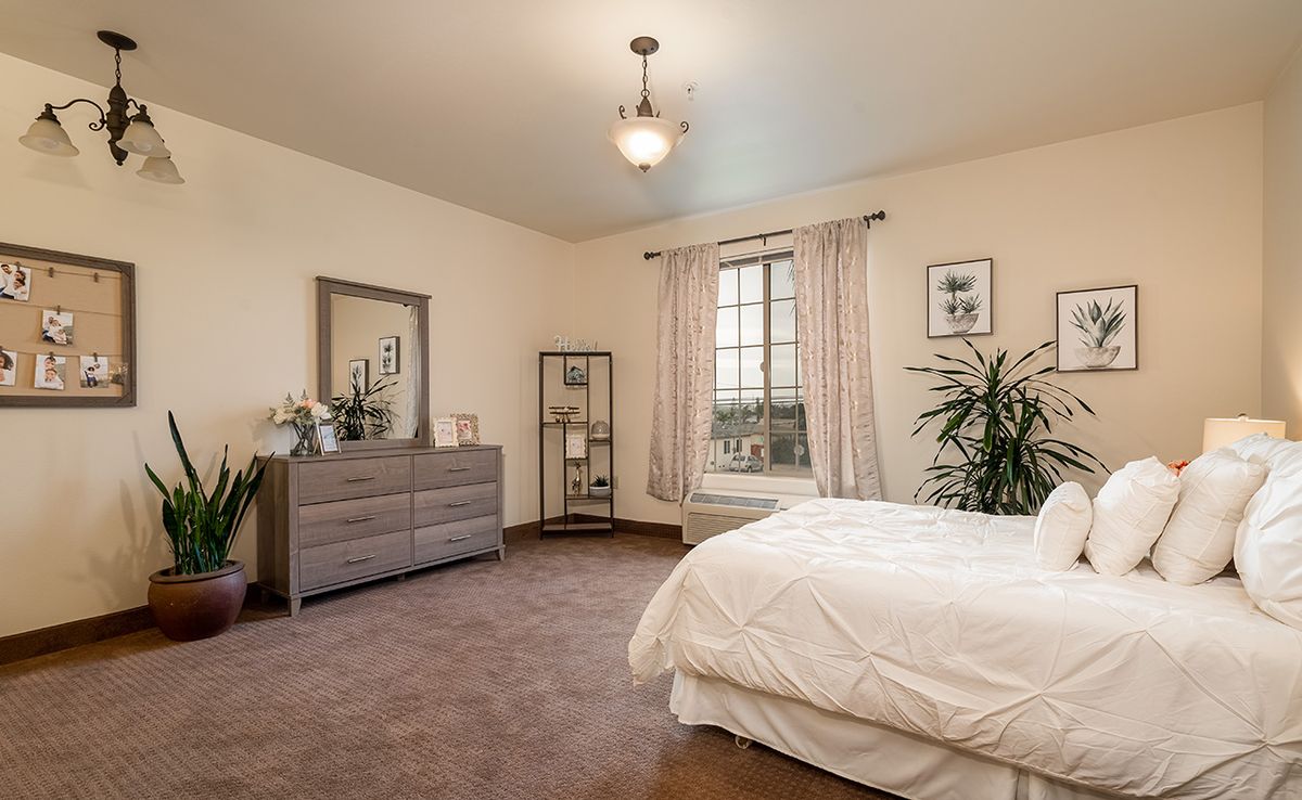 A cozy bedroom with a white bed, wooden dresser, and a potted plant near the window.