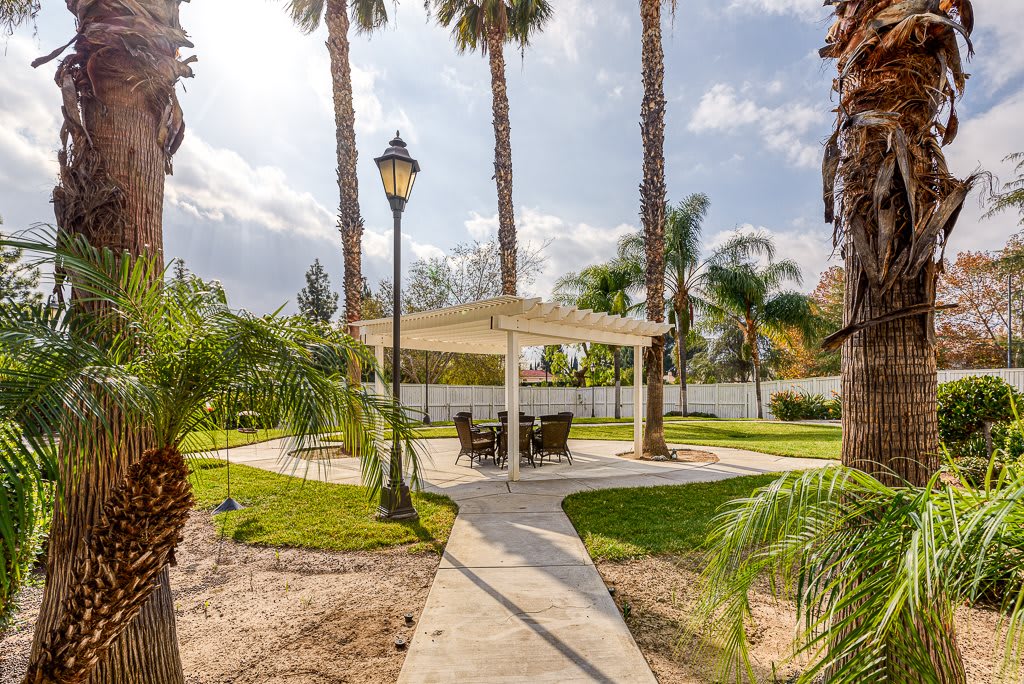 A sunny outdoor space featuring a gazebo surrounded by palm trees and a winding pathway.