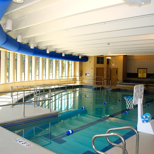 An indoor swimming pool featuring a vibrant blue water slide and plenty of natural light.