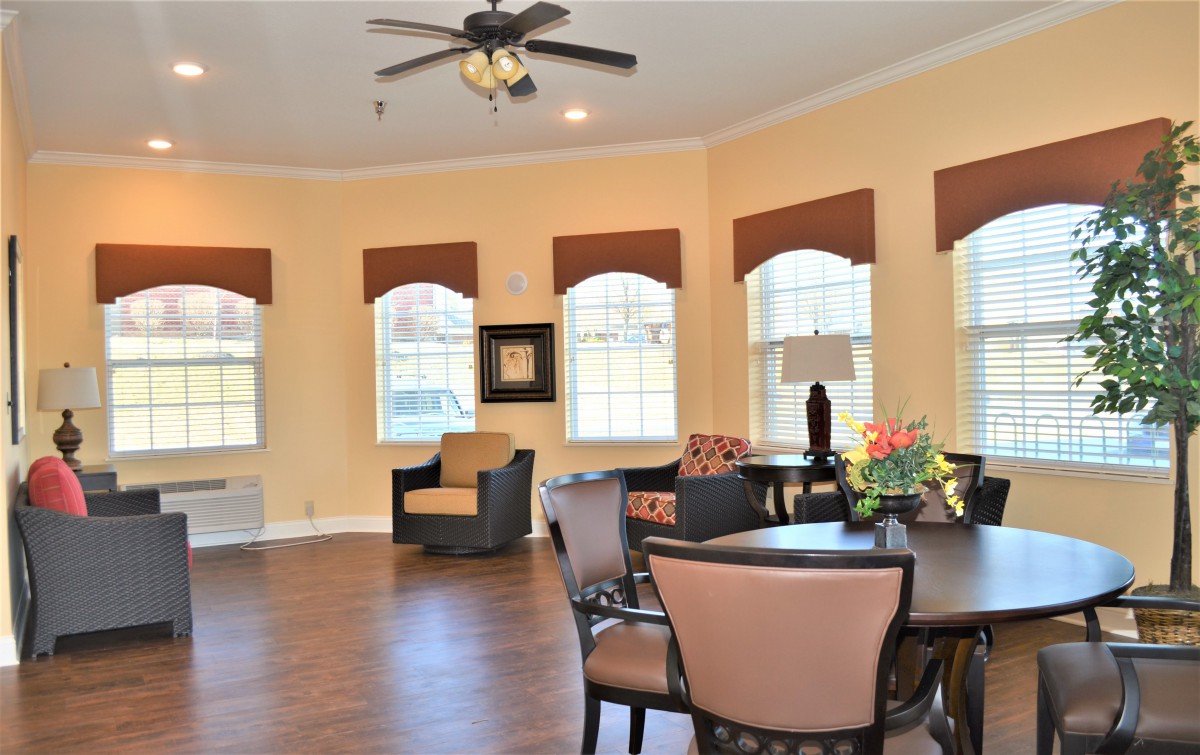 A spacious and well-lit living room with multiple windows, modern furniture, and a ceiling fan.