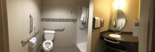 An accessible bathroom featuring a toilet, shower, and safety handrails.