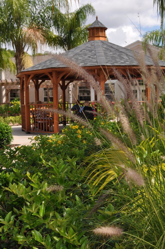 A beautiful wooden gazebo surrounded by lush greenery and palm trees in a garden setting.