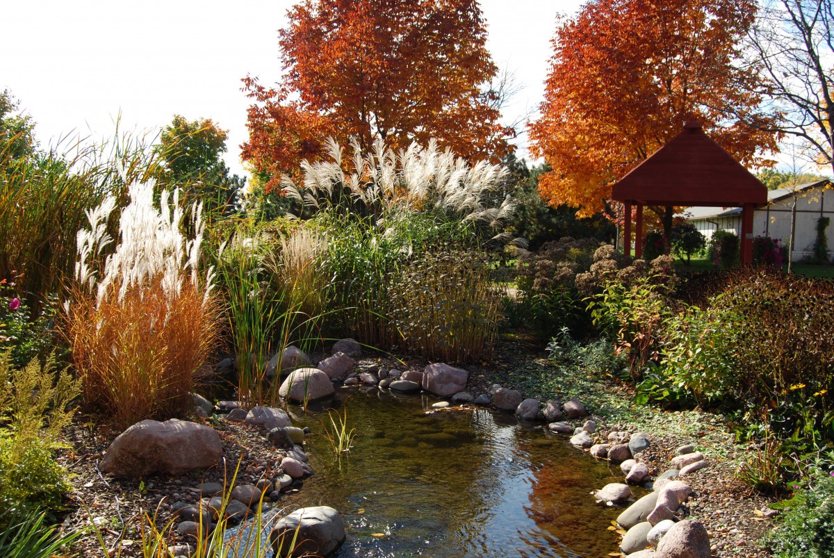 A serene garden pond surrounded by vibrant autumn foliage and lush greenery.