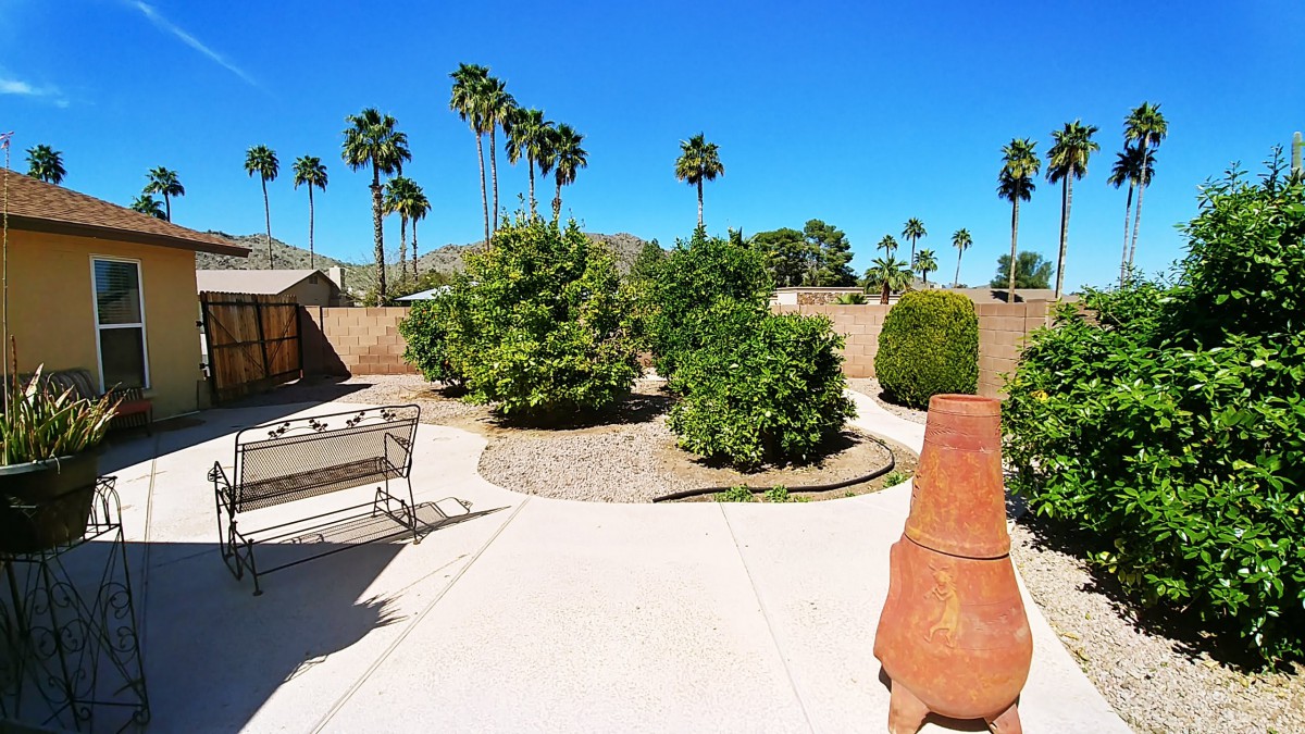 A sunny backyard garden with palm trees and a patio.