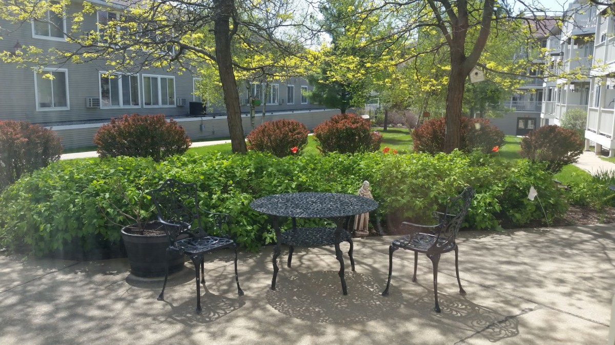 A peaceful outdoor patio setting with a table and chairs surrounded by lush greenery.