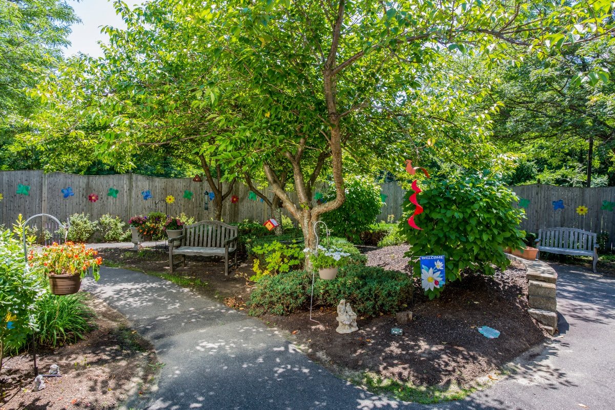 A peaceful garden with a pathway winding through lush greenery and trees, featuring a bench for relaxation.