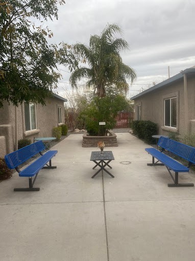 A serene courtyard with blue benches and a palm tree in the center.