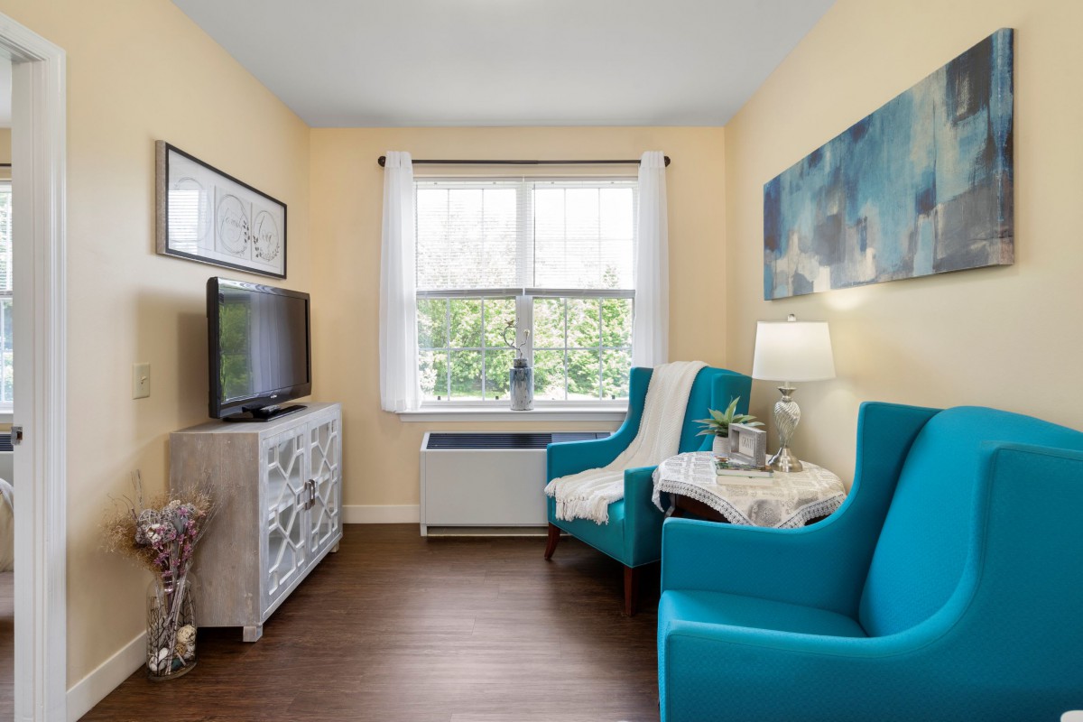 A cozy living room with blue chairs, a television, and natural light coming through the window.