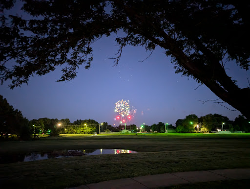Fireworks lighting up the night sky over a peaceful park.