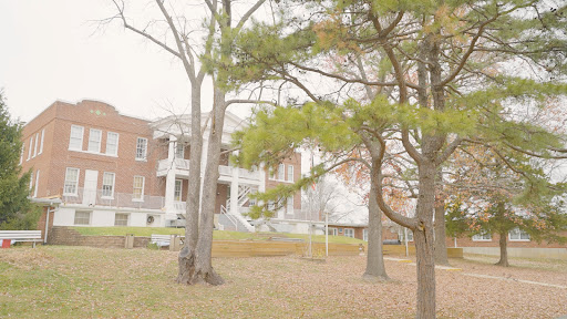 A historic building framed by towering trees, showcasing classic architecture.