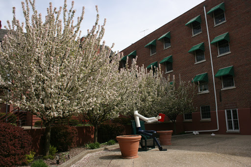 A serene courtyard featuring blooming trees and a brick building.