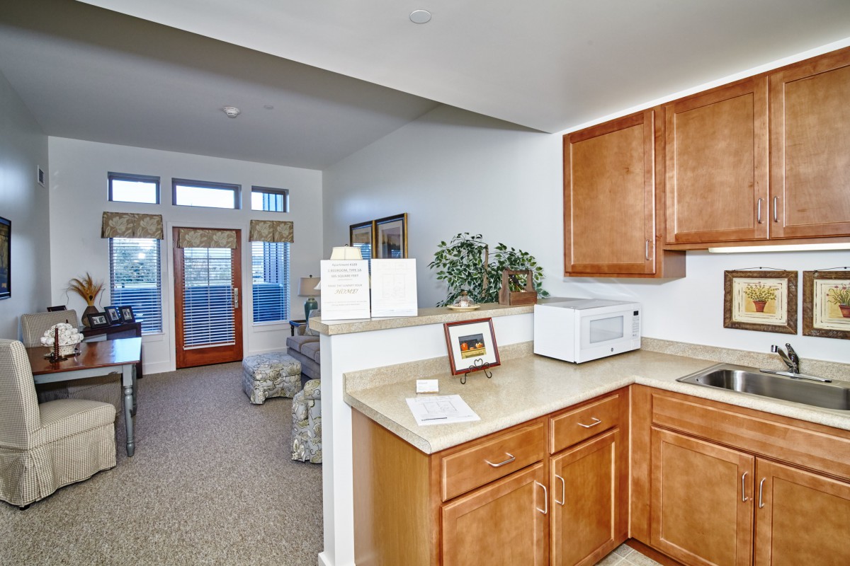 A modern apartment interior featuring a kitchen area with wooden cabinets and a microwave, leading into a cozy living room with large windows.