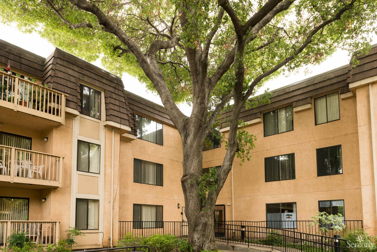 An exterior view of a residential apartment building with a large tree in front.