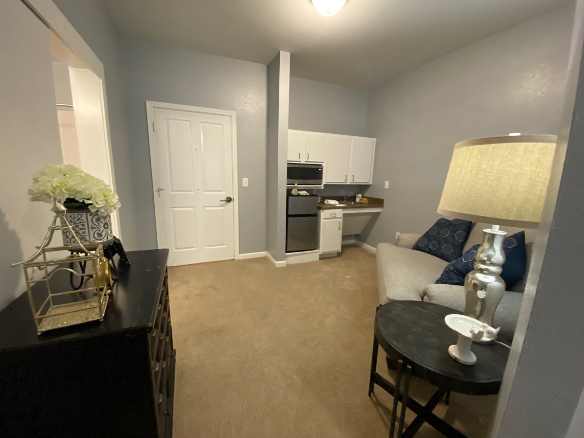 Cozy apartment living room with kitchenette and modern decor.