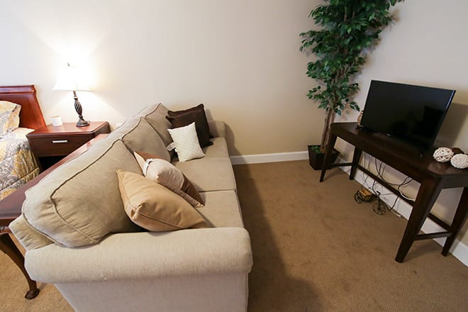 A cozy living room with a beige sofa, decorative cushions, and a TV on a stand next to an indoor plant.