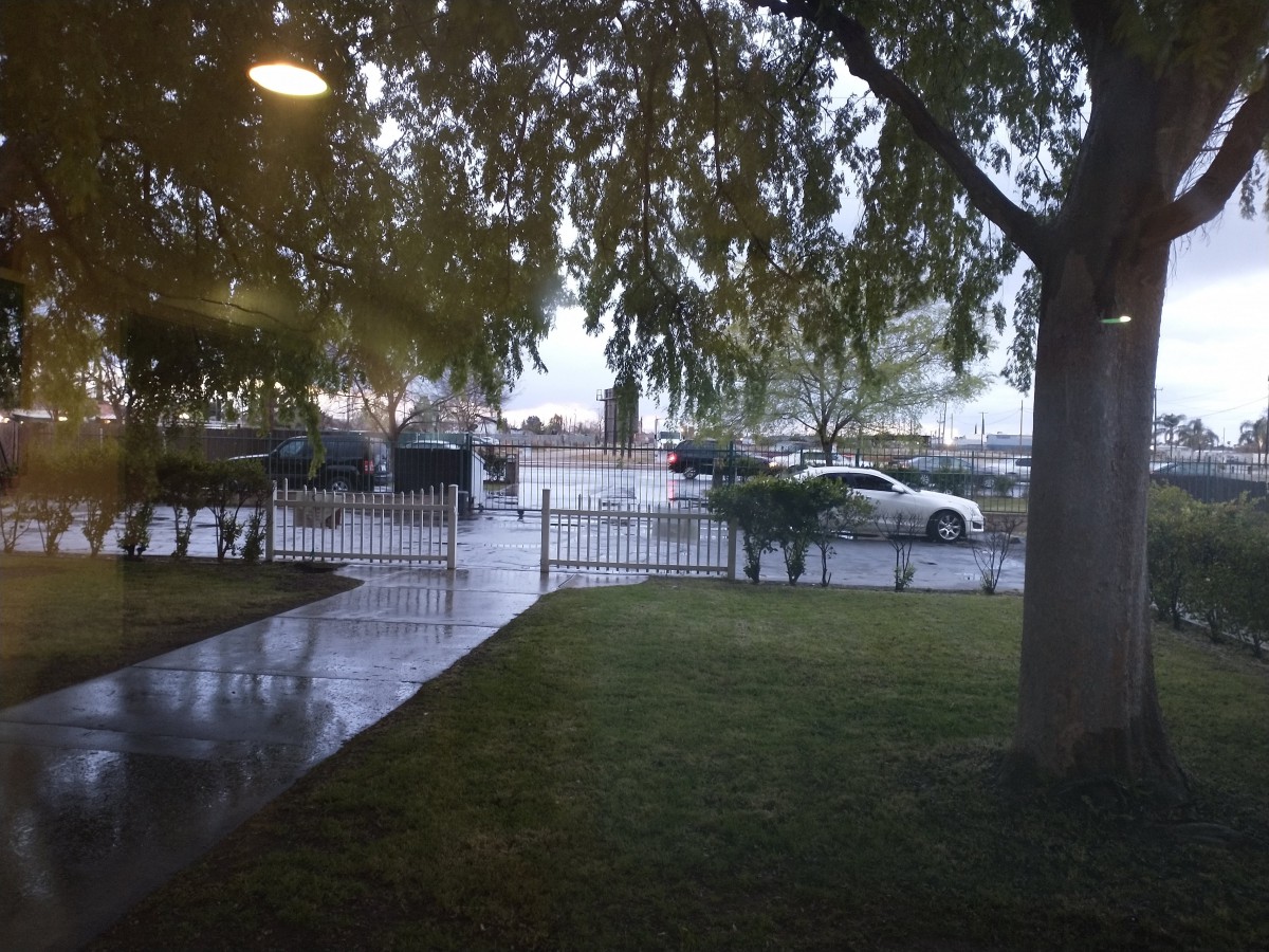 A rainy day view from a driveway overlooking the street and parked cars.