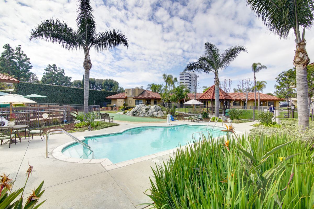 A serene outdoor pool area surrounded by palm trees and resort-style amenities on a sunny day.