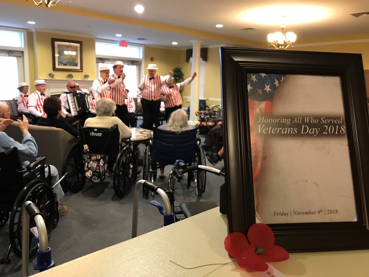 A Veterans Day celebration at a nursing home featuring a musical performance for the residents.
