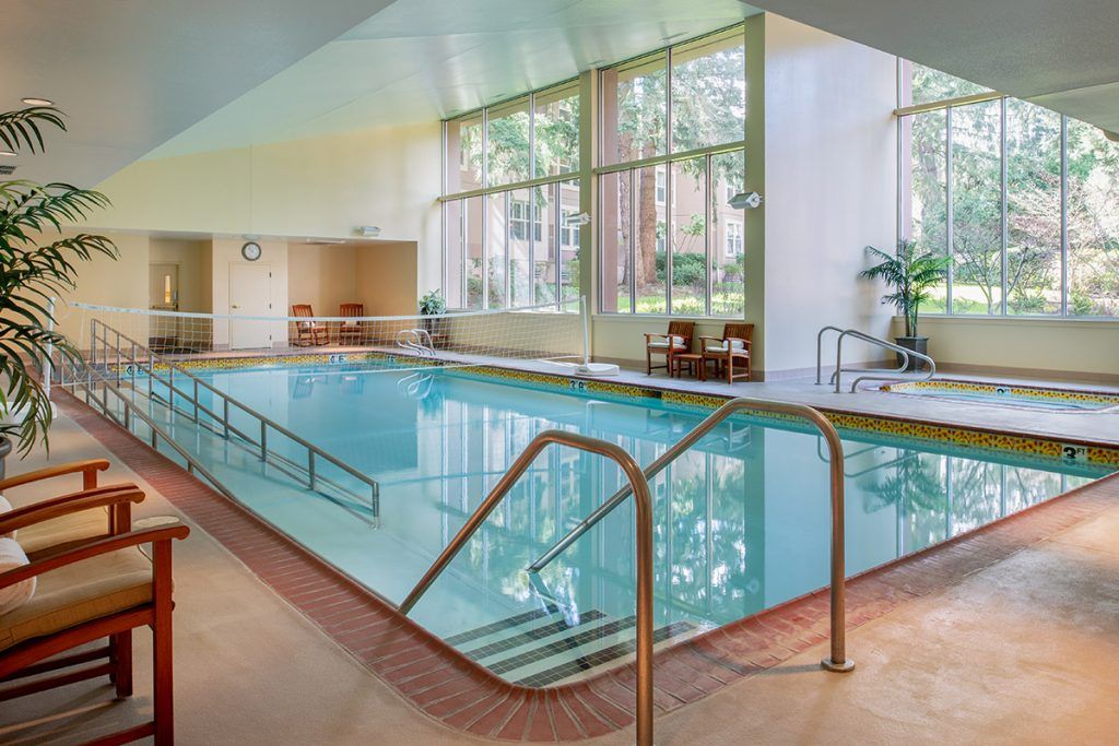 A modern indoor swimming pool with large windows letting in natural light.