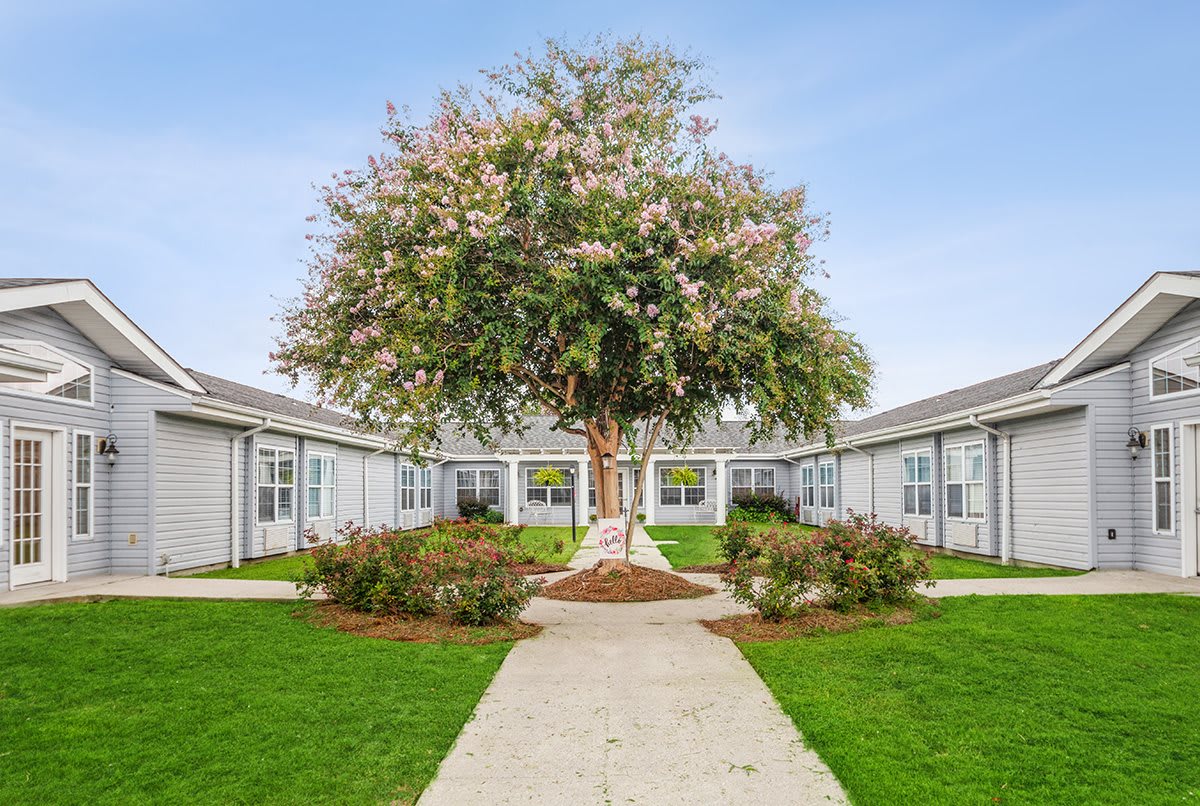 A courtyard with a central tree and surrounding pathway amid residential buildings.