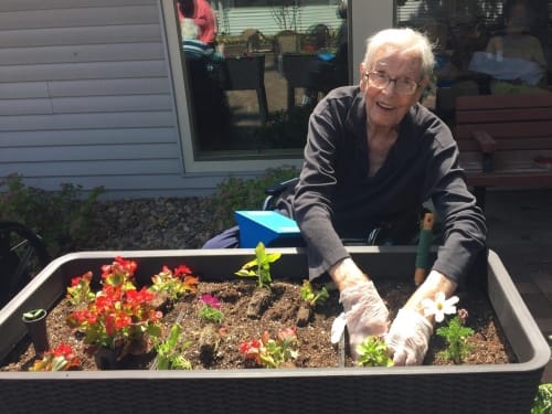 An elderly person happily gardening and planting flowers on a sunny day.