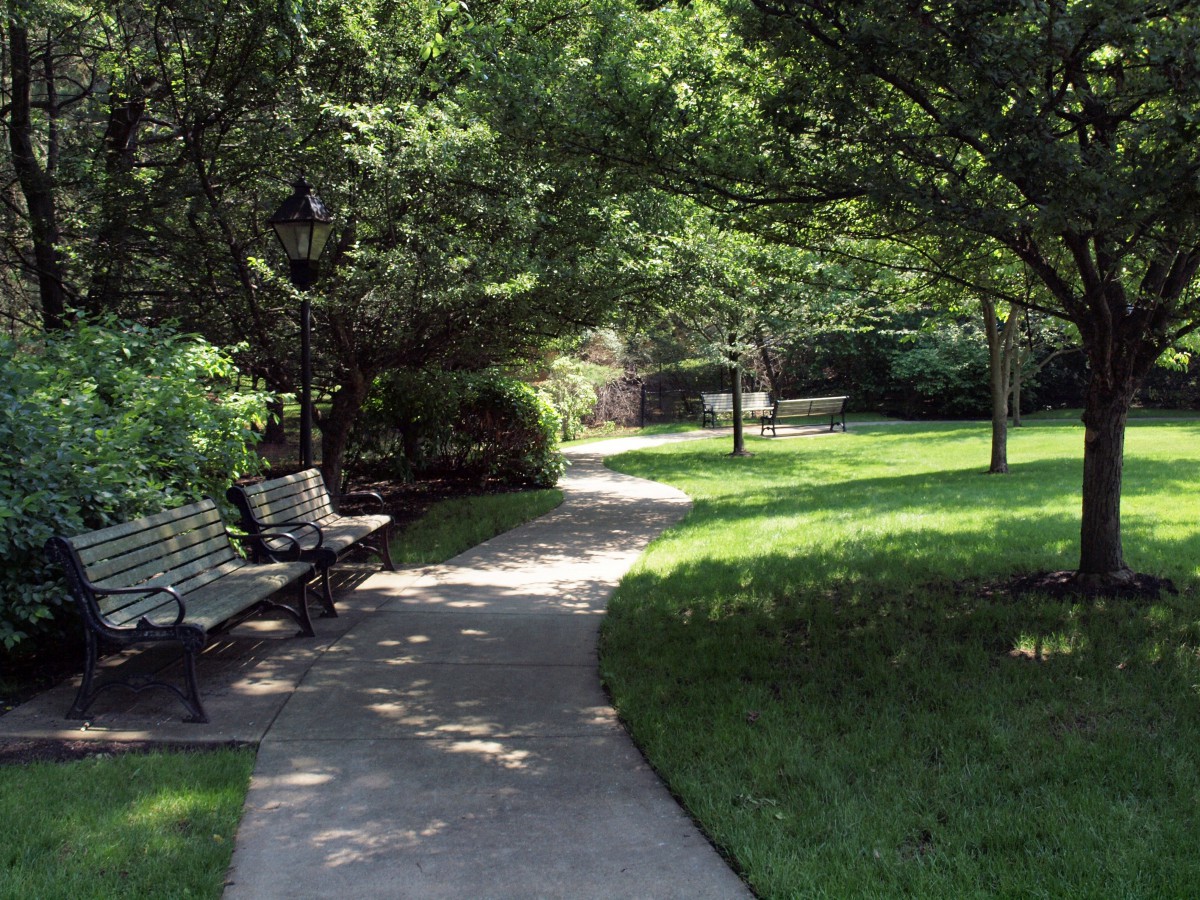 A serene park pathway surrounded by lush greenery and shaded benches.