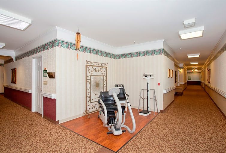 A small fitness area with exercise equipment and decorative wallpaper.