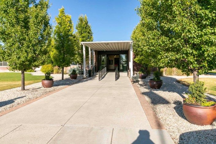 A sunny view of a building entrance surrounded by trees and landscaped paths.