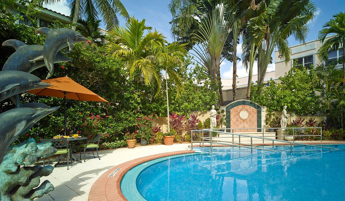 A tranquil outdoor swimming pool surrounded by lush tropical plants and palm trees.