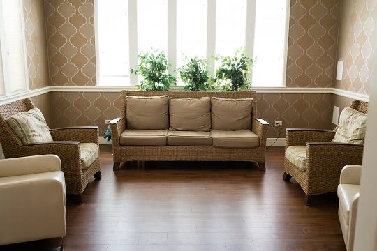 A cozy living room with a sofa, armchairs, and plants by the window.