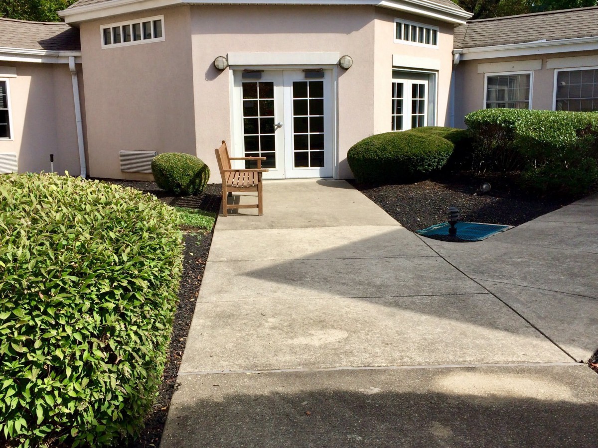 A sunny patio with a chair and pathway leading to glass doors surrounded by bushes.