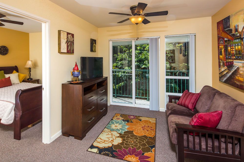 A cozy living room with a sofa, TV, decorative rug, and access to a balcony through glass doors.