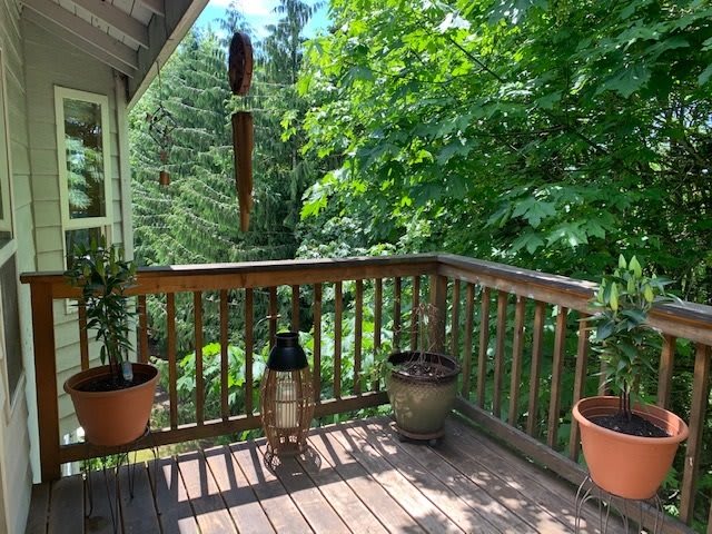 A sunny deck with potted plants and lush green trees in the background.