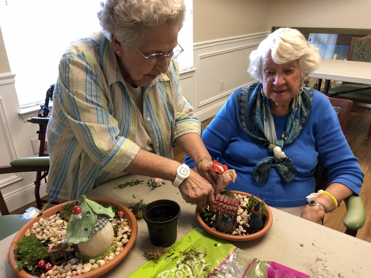 Two elderly women enjoying a gardening activity with succulents indoors.