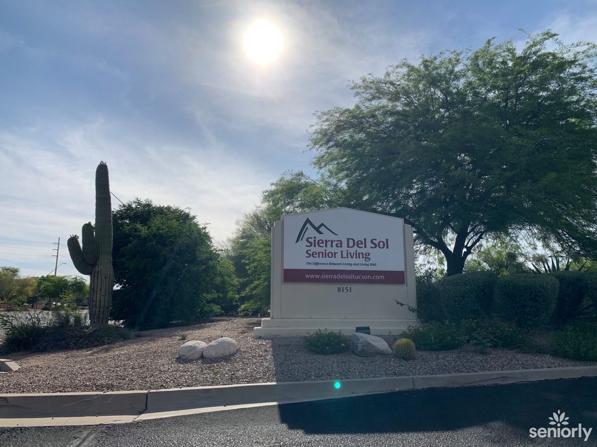 Sunlit landscape with a sign and surrounding trees and cactus.