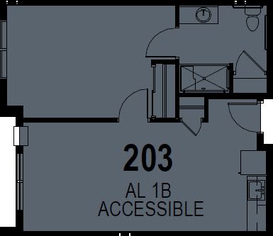 Floor plan showing an accessible room labeled '203 AL 1B ACCESSIBLE'.