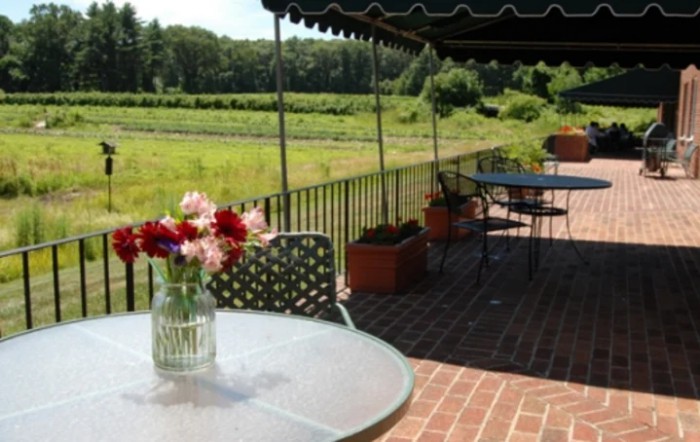 A scenic outdoor terrace with tables, chairs, and a vase of flowers under a canopy overlooking green fields.