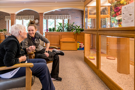 Visitors enjoying time with pets at an animal shelter.