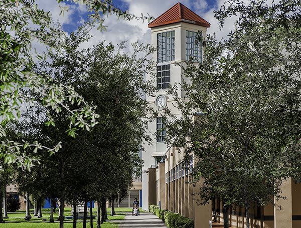 A tall building with a tower and a pathway lined with trees.