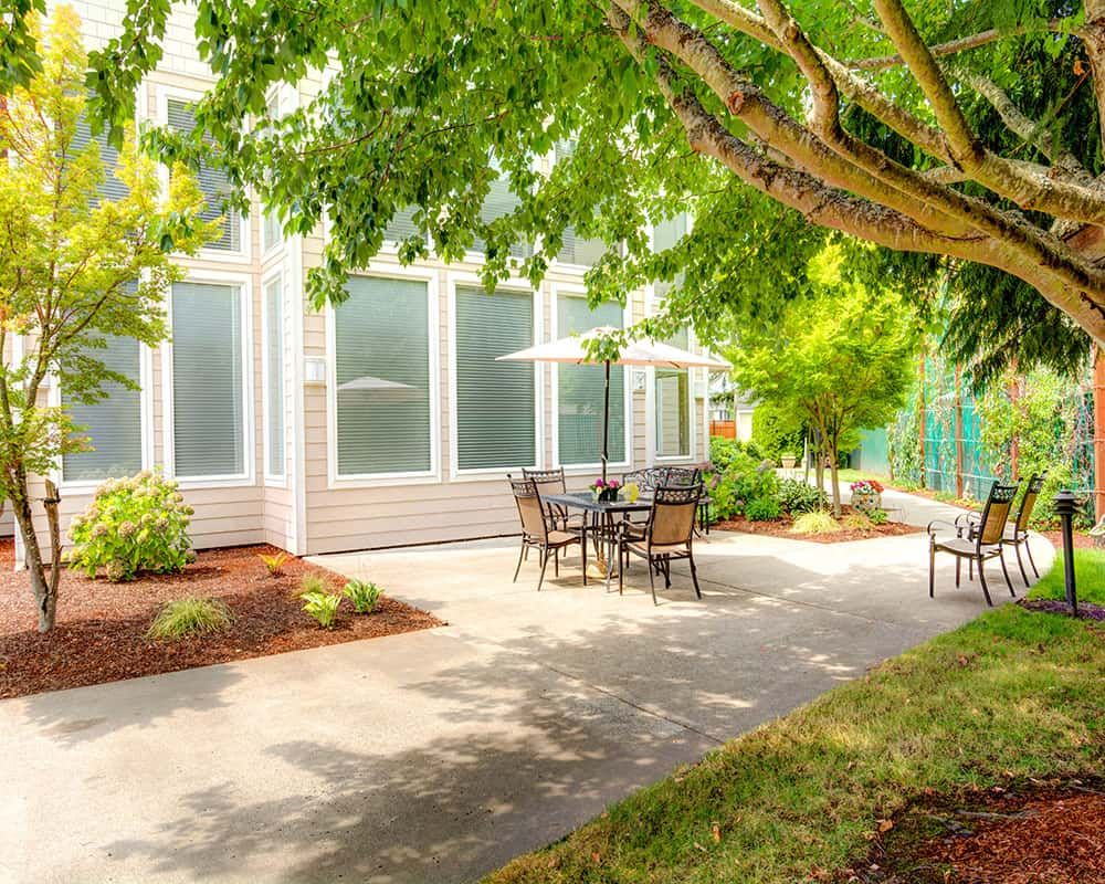 A sunny patio area with chairs and tables surrounded by greenery.