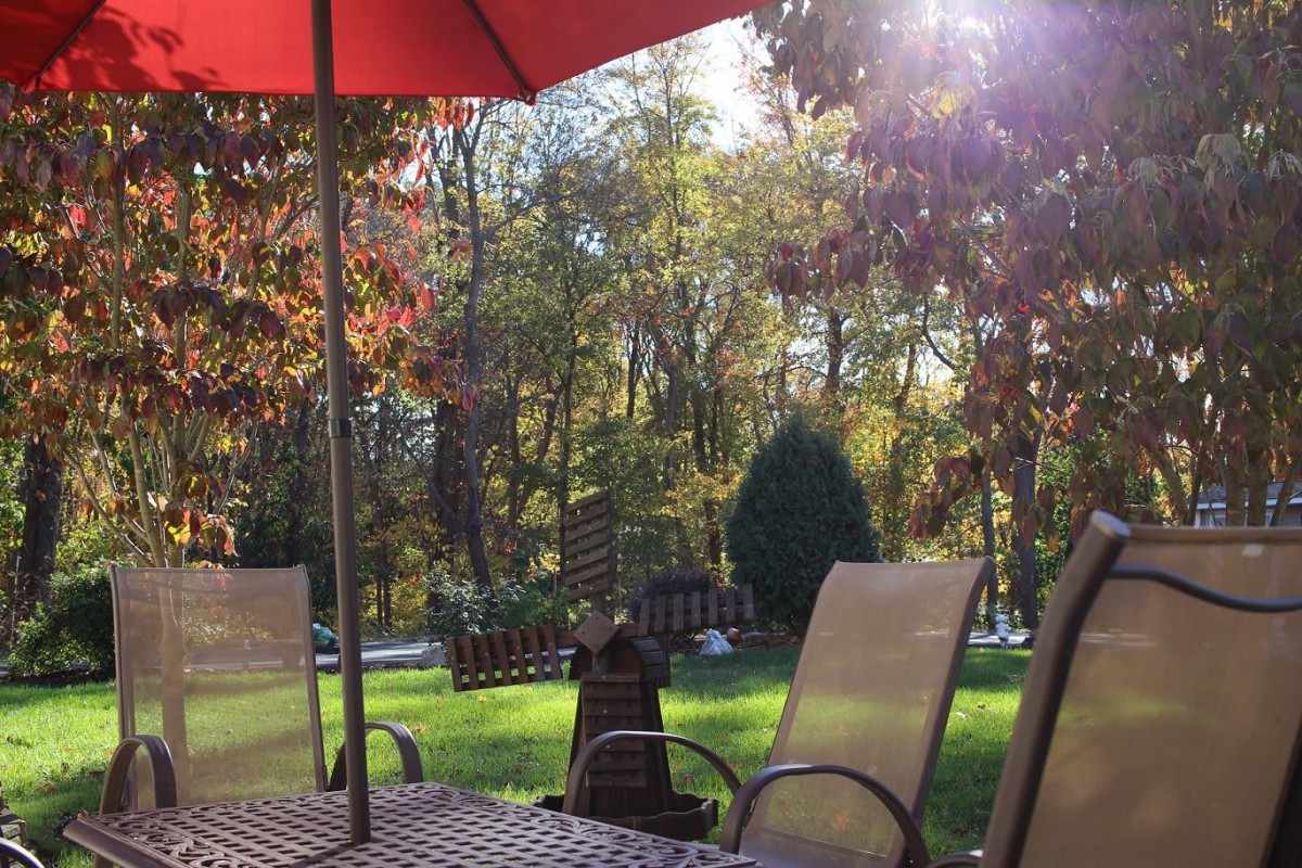 A sunlit patio with chairs and a red umbrella overlooking a tree-filled autumn landscape.